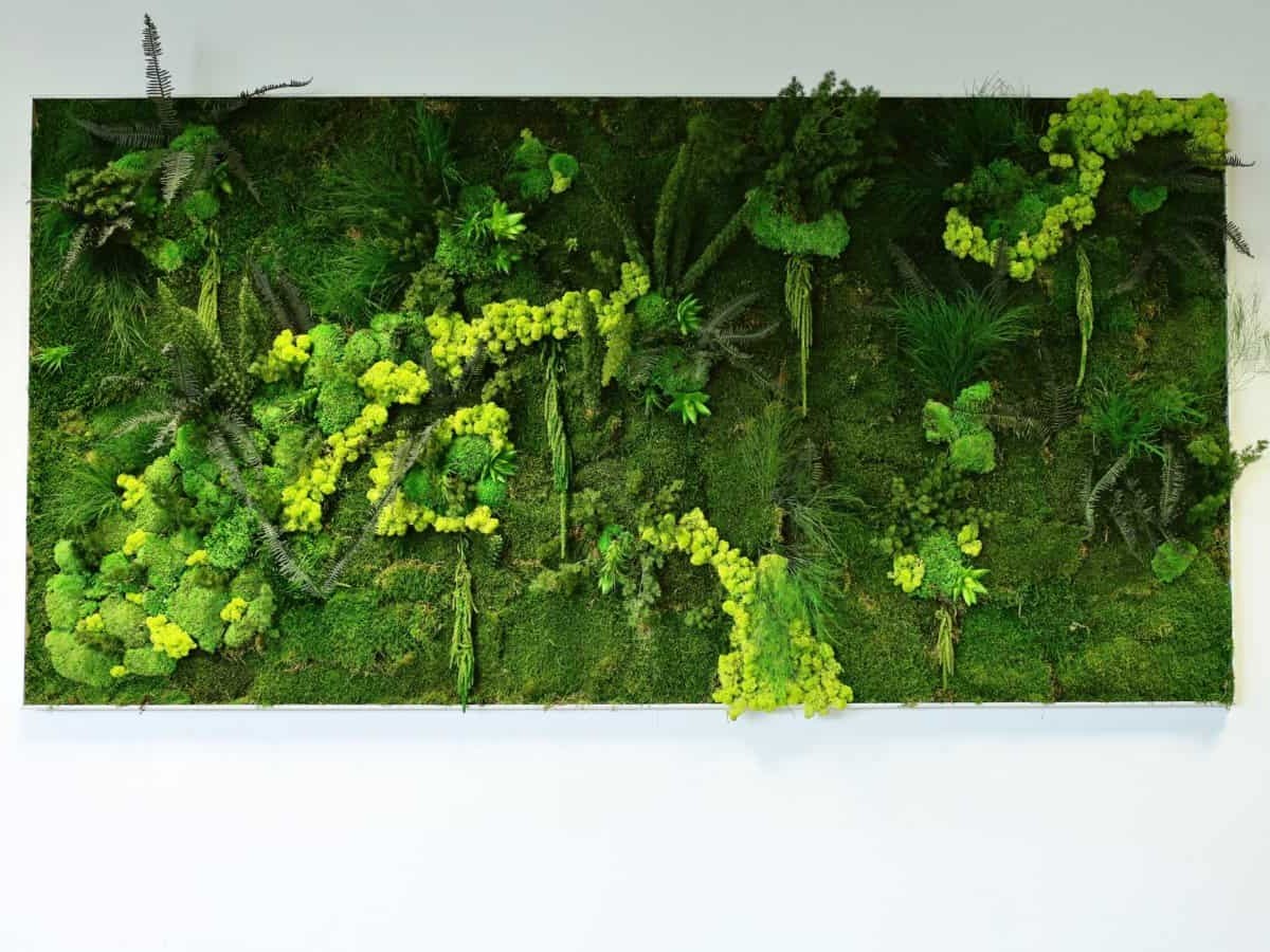 Tableau végétal - Green Decor