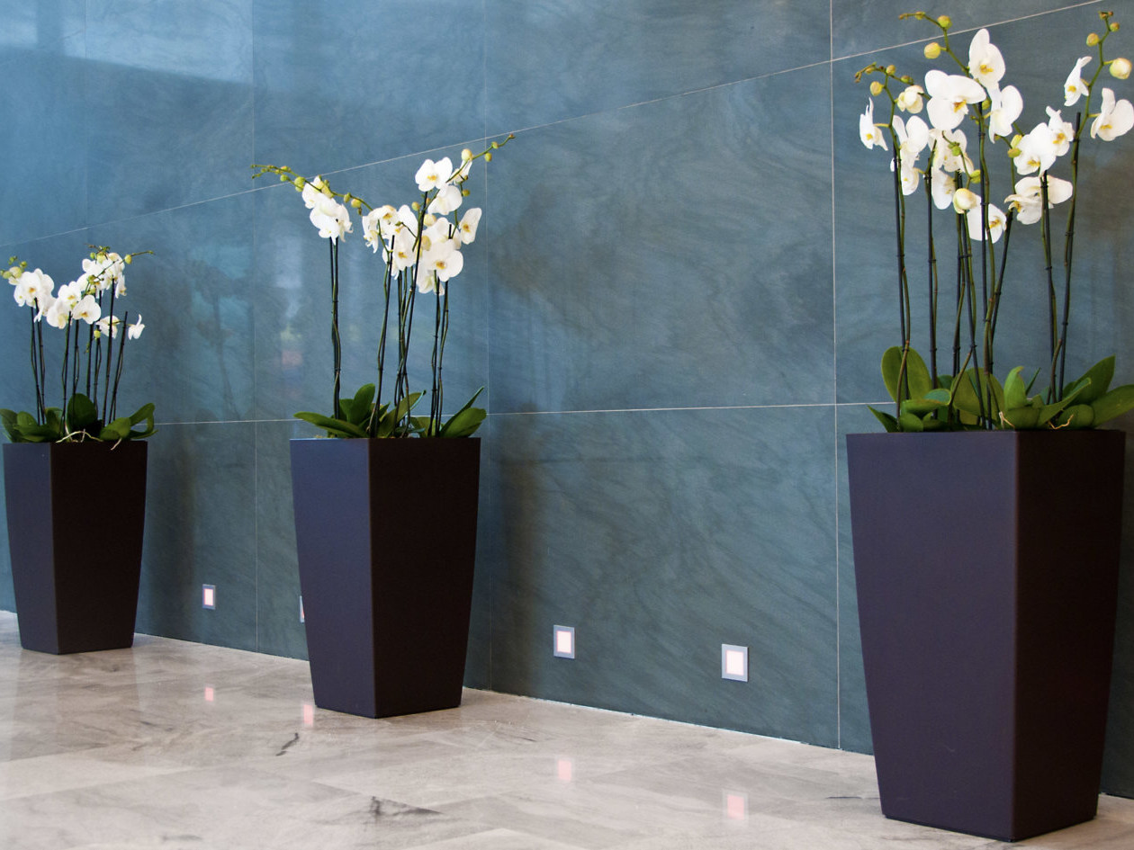 location de plantes avec contrat d'entretien par Green Decor