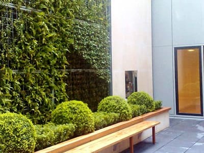Mur végétal, tableau végétalisé en entreprise et bureaux